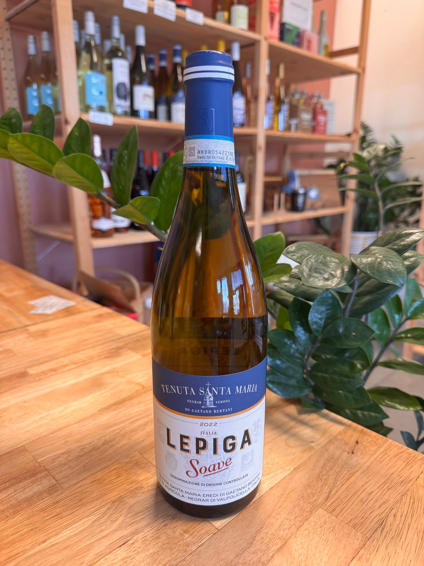 2022 Lepiga Soave