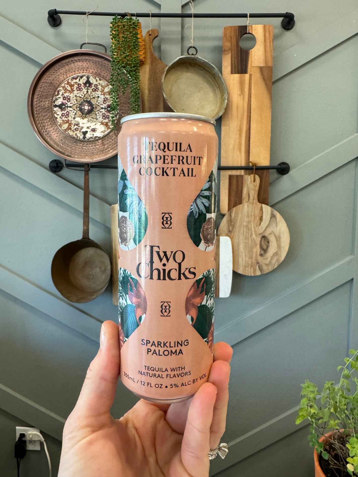 Two Chicks Single Can Grapefruit