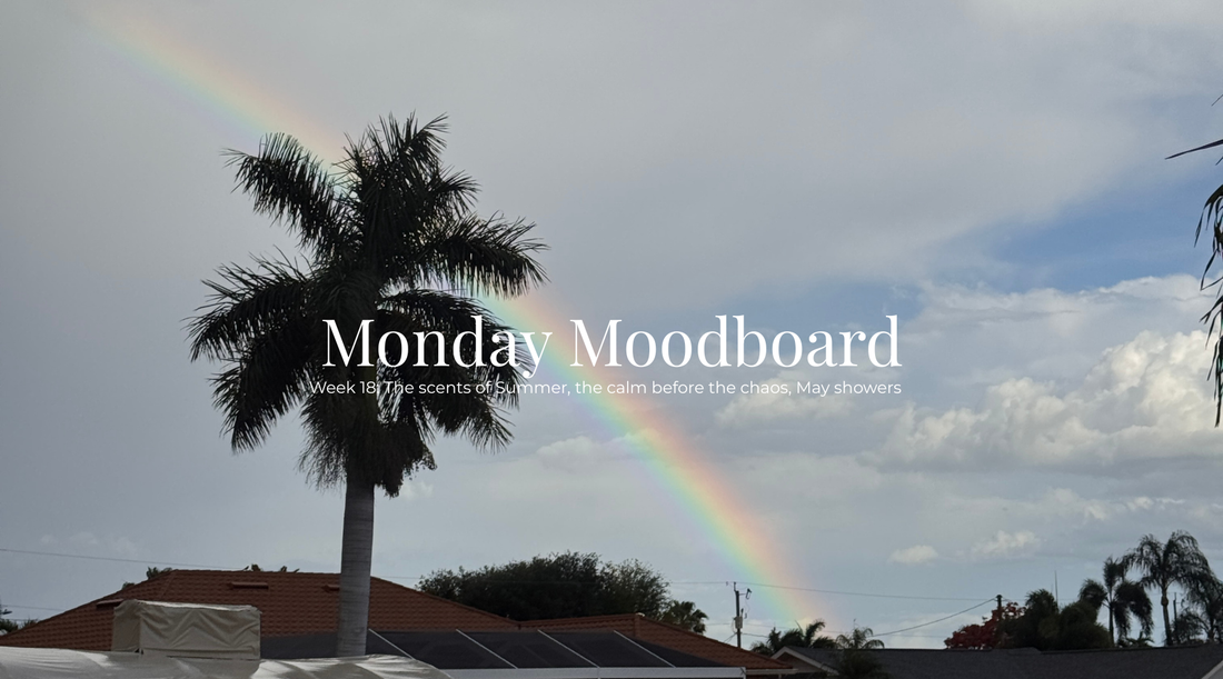 Monday Moodboard Week 18| Summer Prep, Cozy Meals & Everyday Life in Southwest Florida